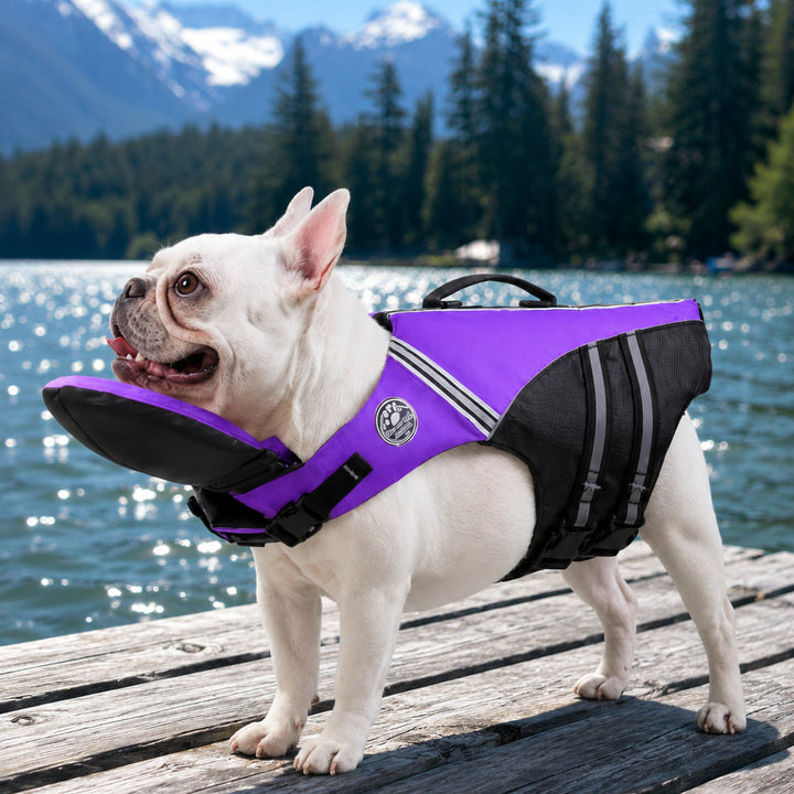 Dog life jacket