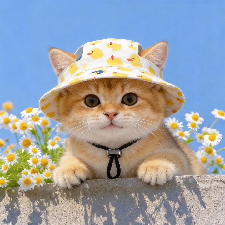 Cute pet sun hat