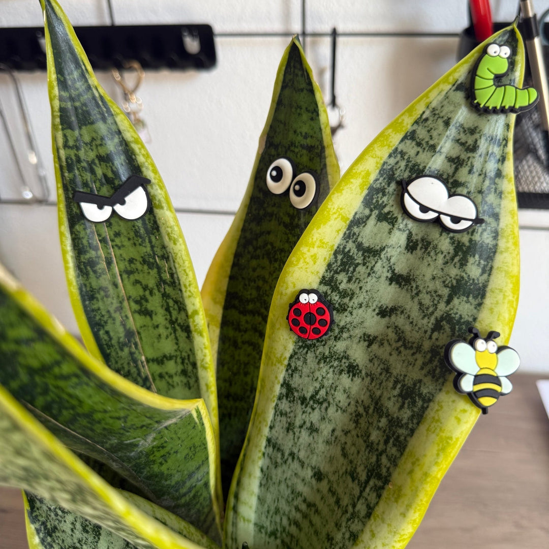 Cute plant leaf magnet decoration