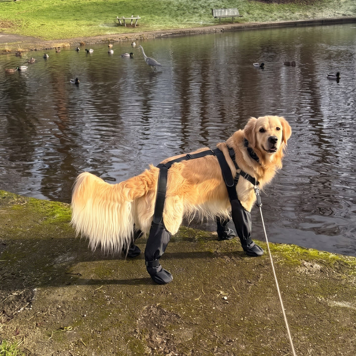 Waterproof Anti-Slip Dog Boots