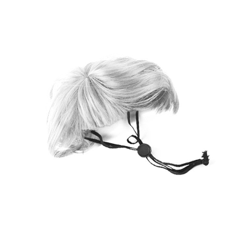 Pet Festival Party Wigs