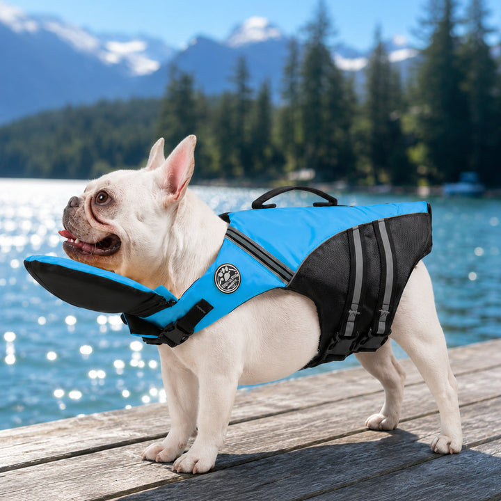 Dog life jacket