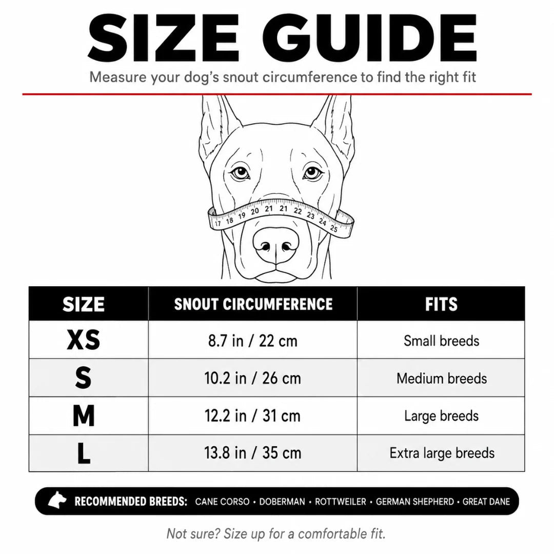 Terrifying fang muzzle for dogs