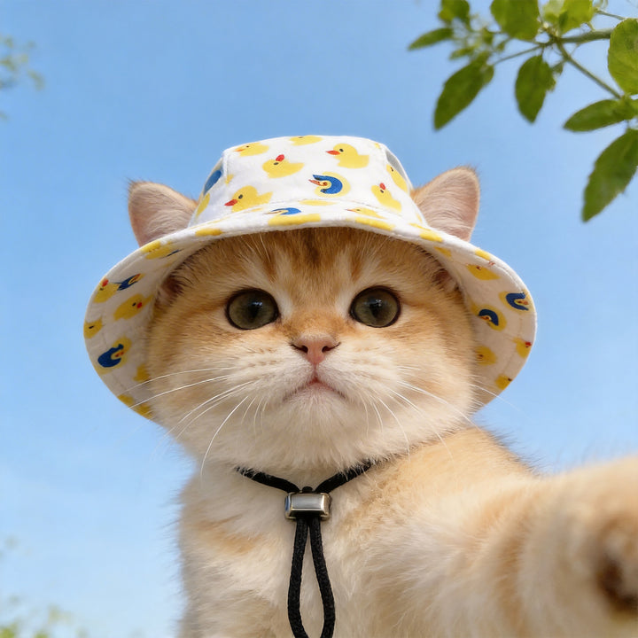 Cute pet sun hat