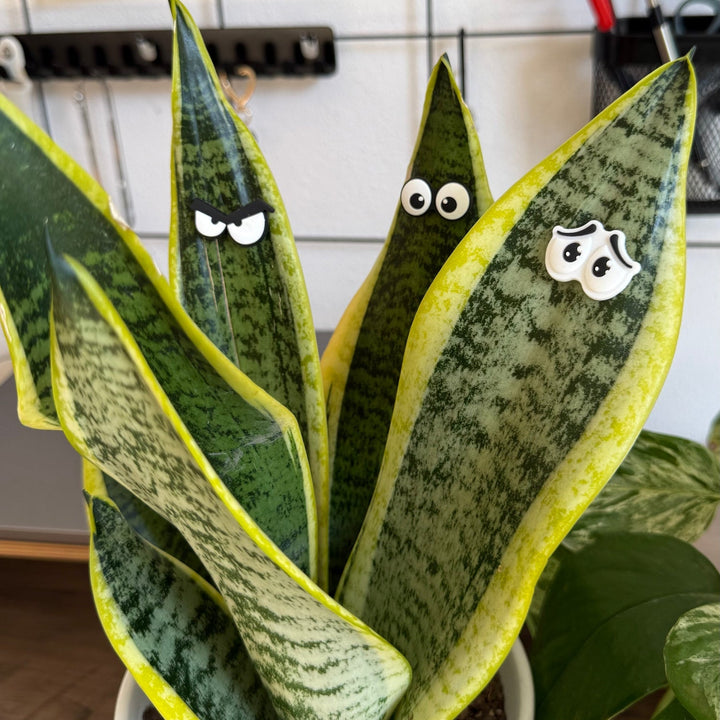 Cute plant leaf magnet decoration