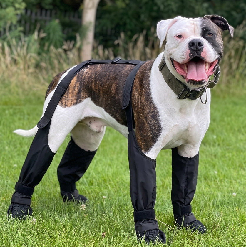 Waterproof Anti-Slip Dog Boots