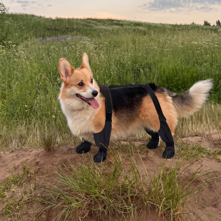 Waterproof Anti-Slip Dog Boots
