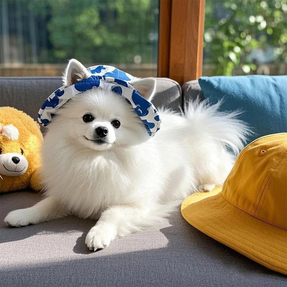 Cute pet sun hat