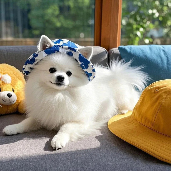Cute pet sun hat