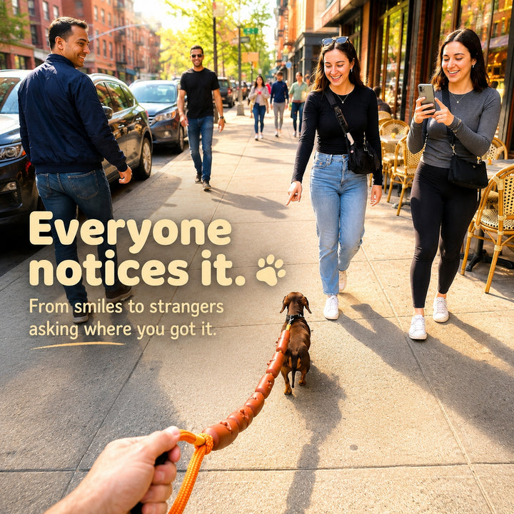 Funny Sausage Pet Leash
