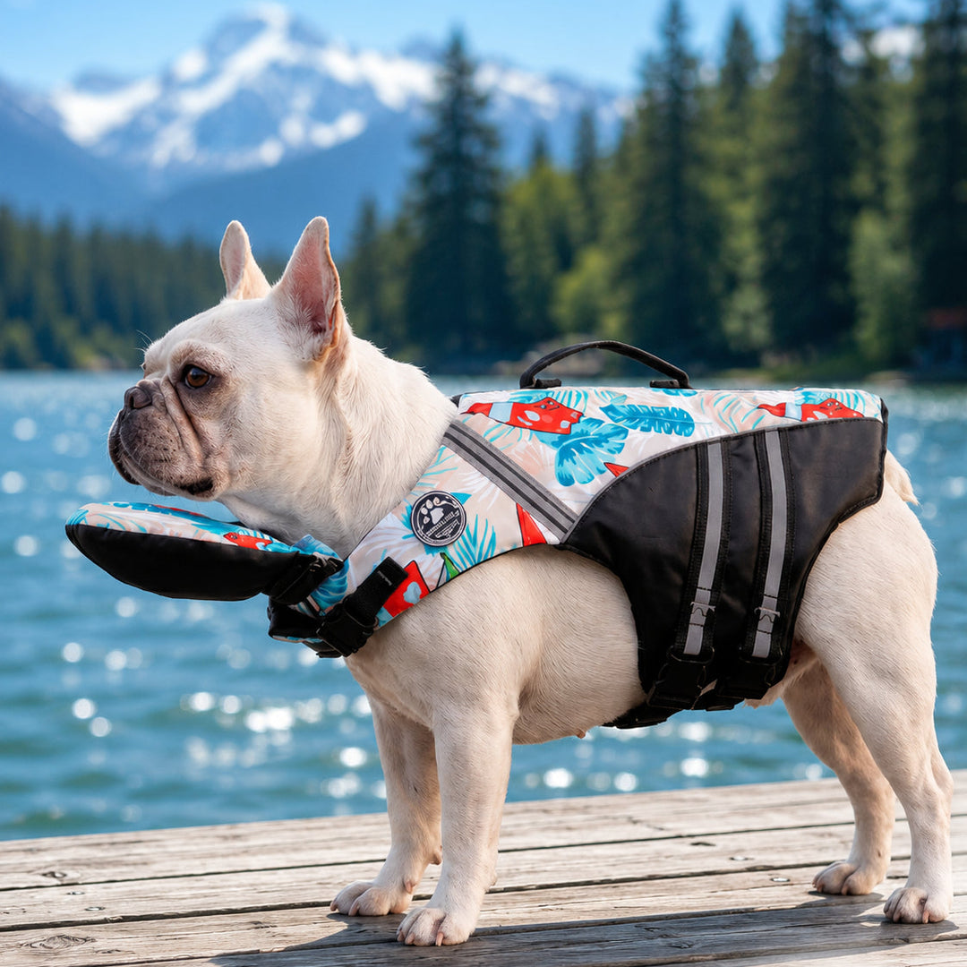 Dog life jacket