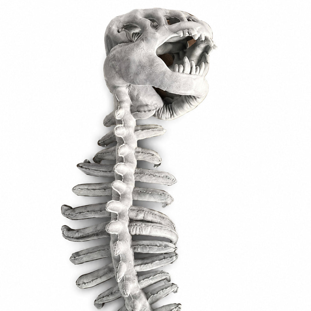 Funny dinosaur skeleton headgear