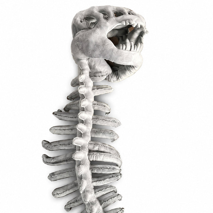 Funny dinosaur skeleton headgear