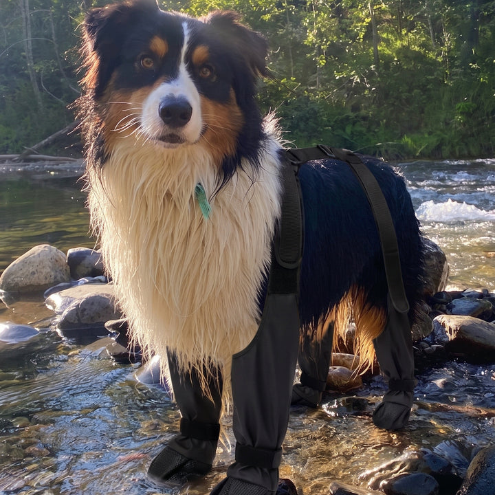 Waterproof Anti-Slip Dog Boots