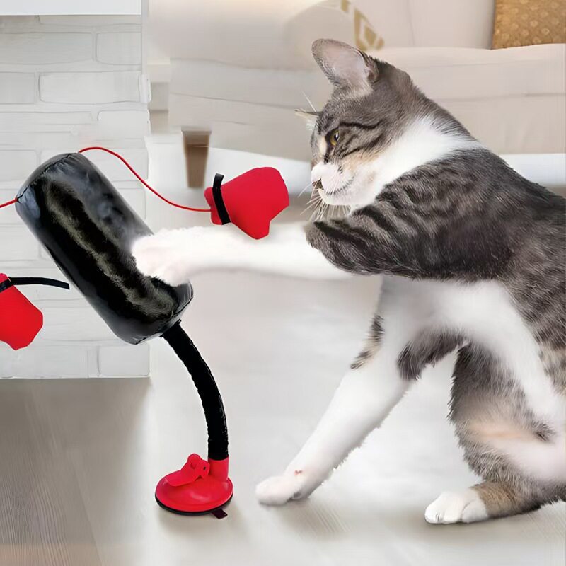 Cat punching bag suction cup