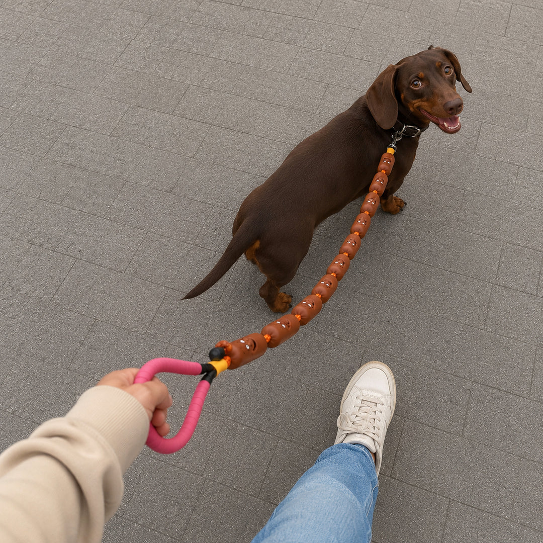 Funny Sausage Pet Leash