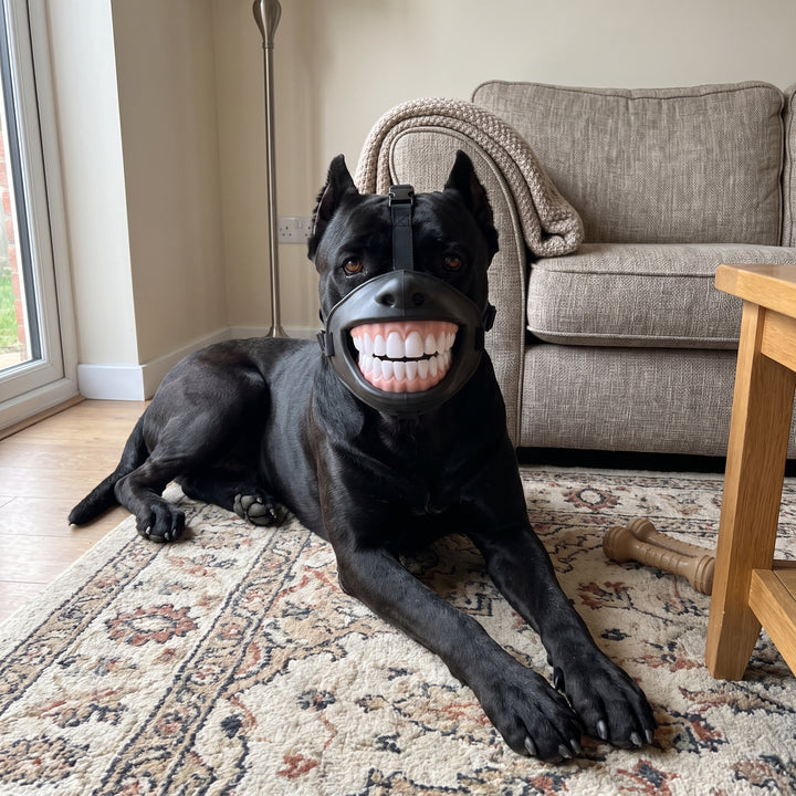 Funny big white teeth pet muzzle