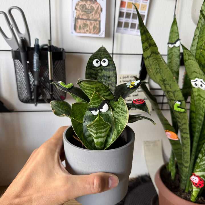 Cute plant leaf magnet decoration