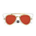 Unisex Adult Swimming Goggles