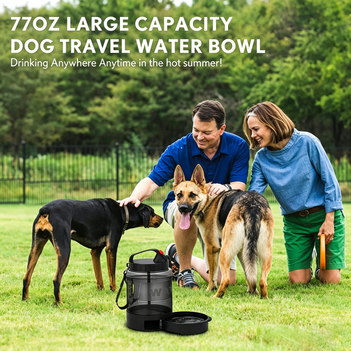Dog outdoor water bottle
