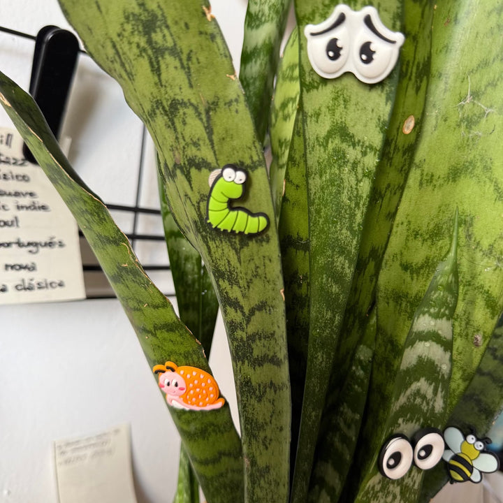 Cute plant leaf magnet decoration