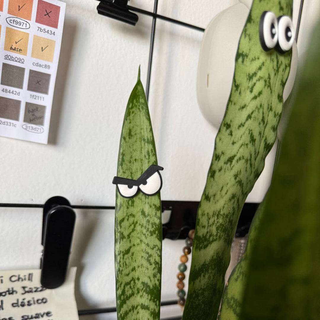 Cute plant leaf magnet decoration
