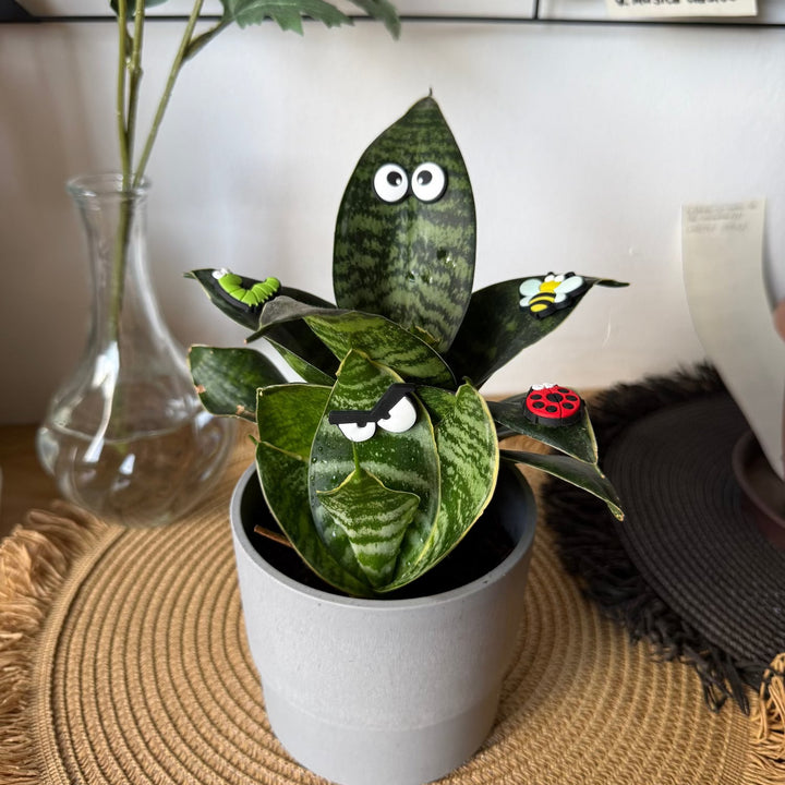 Cute plant leaf magnet decoration