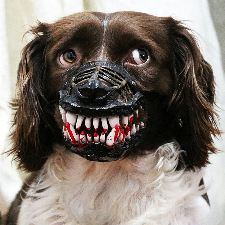 Terrifying fang muzzle for dogs