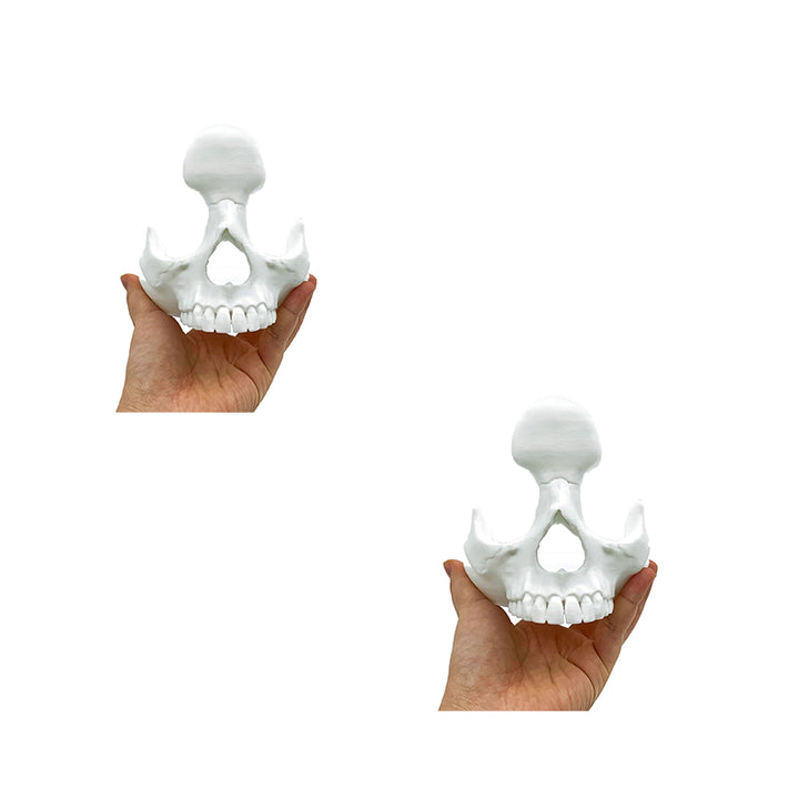 Creative Skull Glasses Holder Desktop Decoration