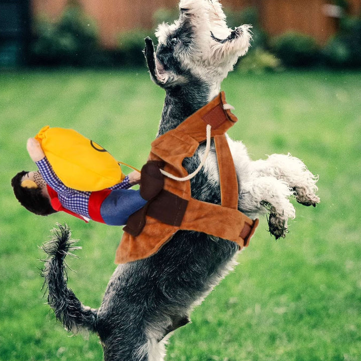 Funny Cowboy Rider Pet Clothes