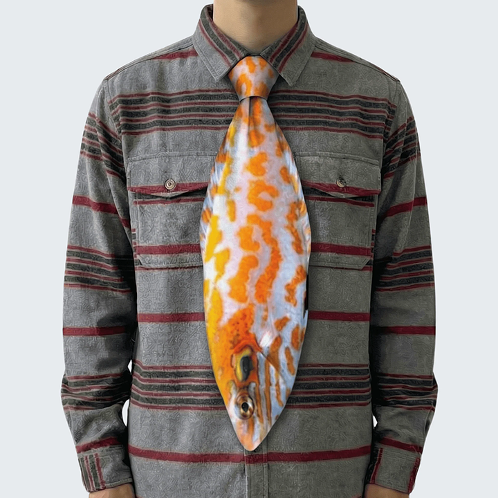 Fun Fish-Shaped Tie