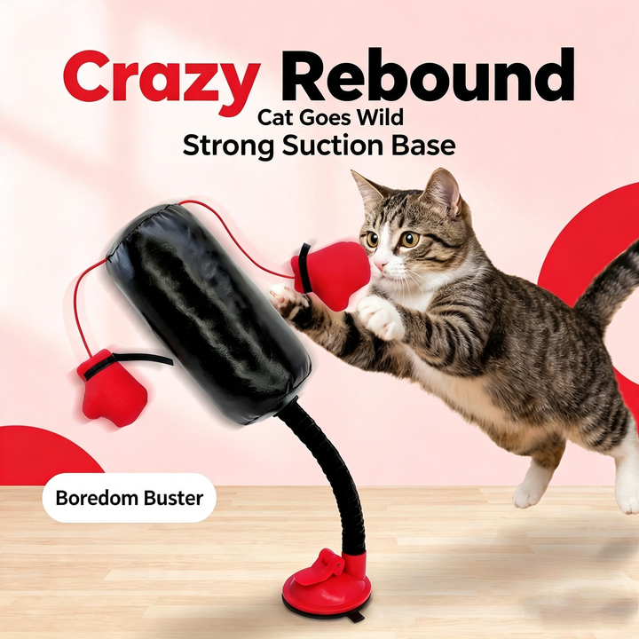 Cat punching bag suction cup