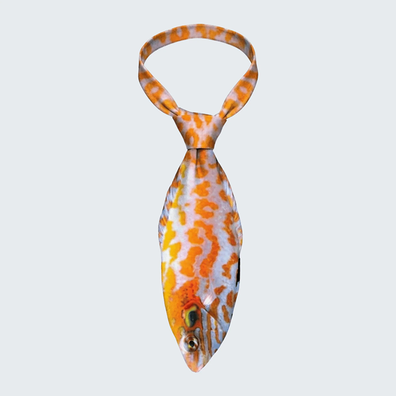 Fun Fish-Shaped Tie