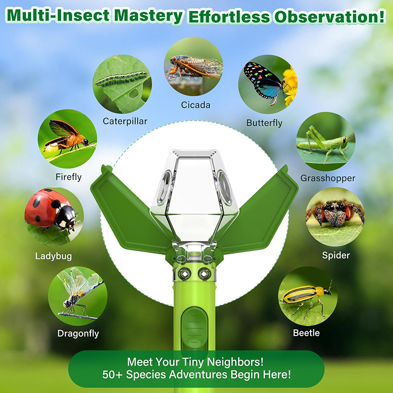 Insect catcher for children