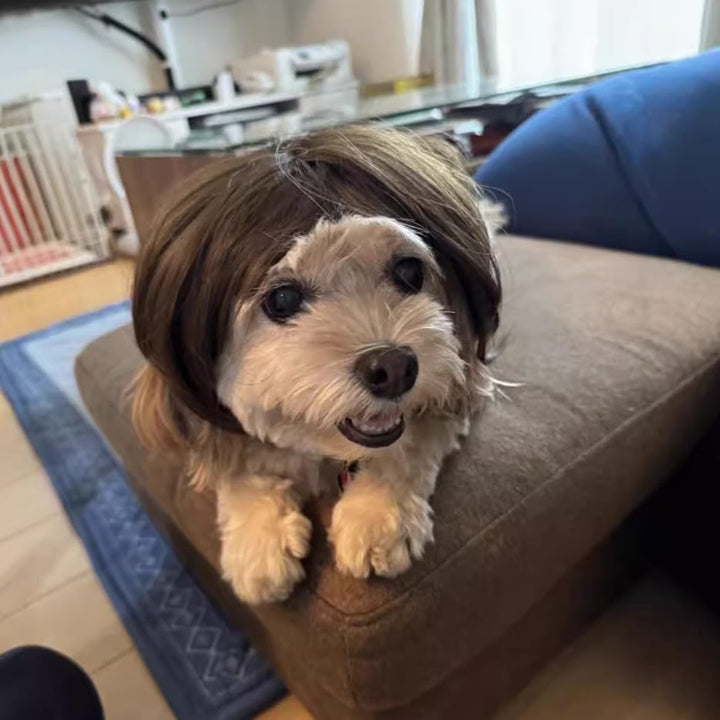 Pet Festival Party Wigs