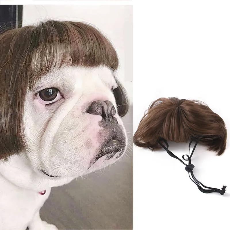 Pet Festival Party Wigs