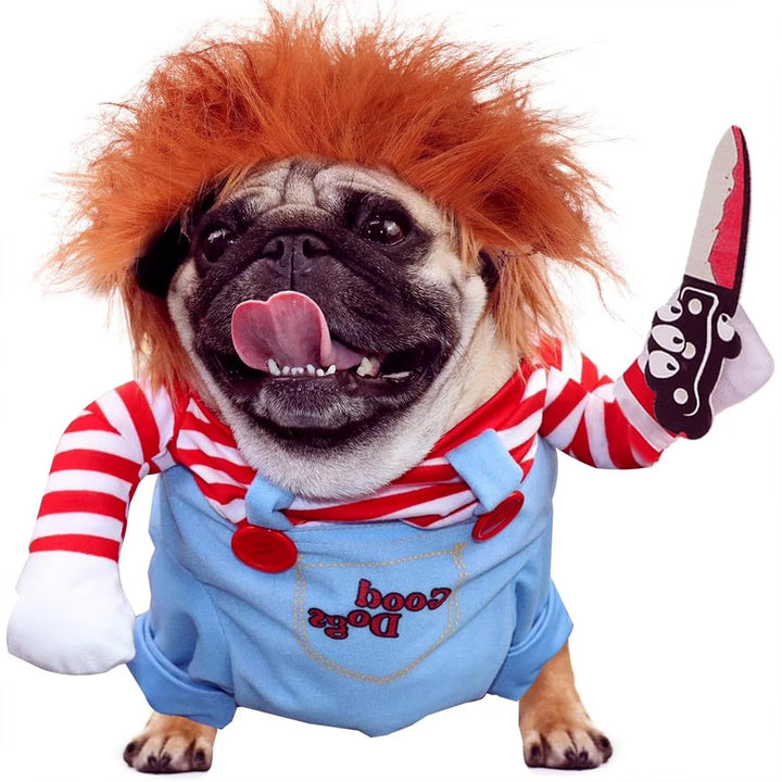Funny pet clothes with a knife