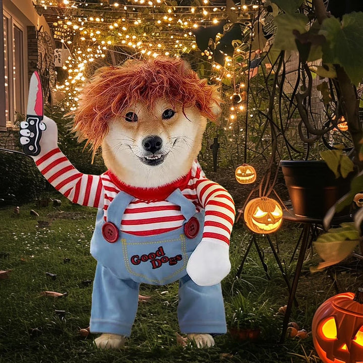 Funny pet clothes with a knife