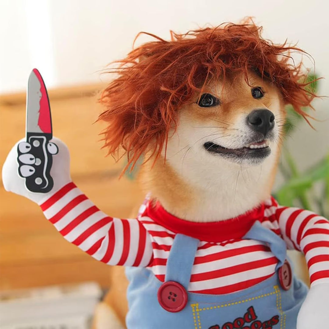 Funny pet clothes with a knife