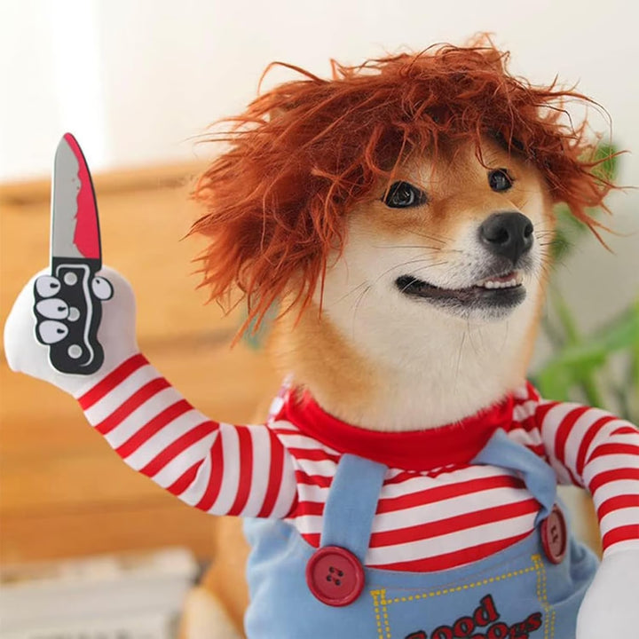 Funny pet clothes with a knife