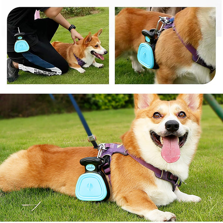 Portable dog poop catcher