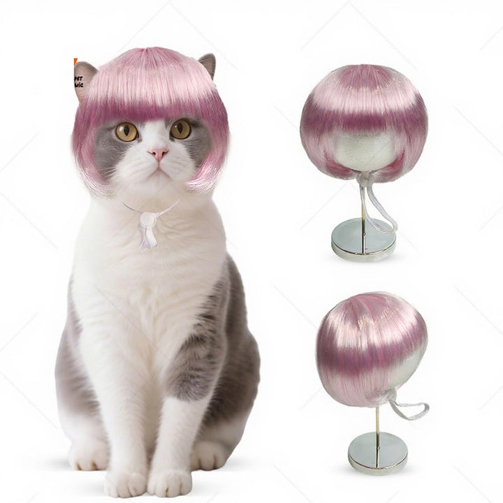 Pet Festival Party Wigs