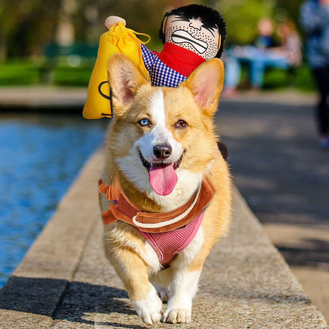Funny Cowboy Rider Pet Clothes
