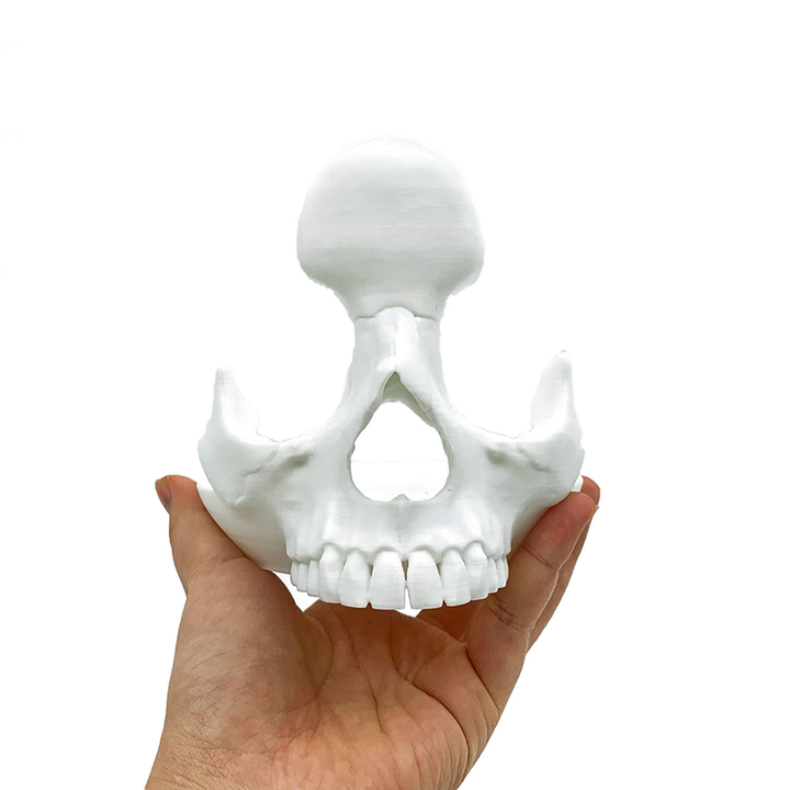Creative Skull Glasses Holder Desktop Decoration